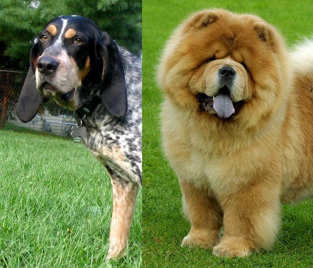 I really don't see the resemblence.