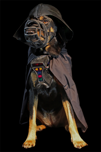 I find your lack of Christmas spirit disturbing.