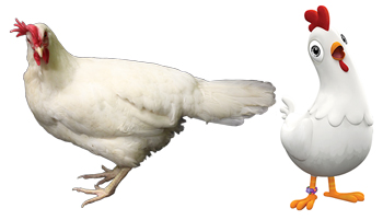 Henrietta as Chickaletta