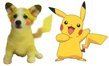 Ham as Pikachu