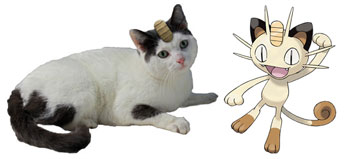 Jodie as Meowth