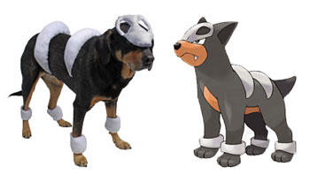 Letzty as Houndour