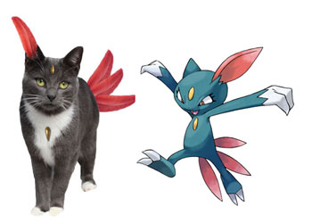 Meowchelle Gomez as Sneasel