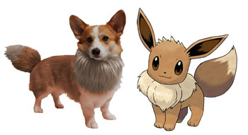Sam as Eevee