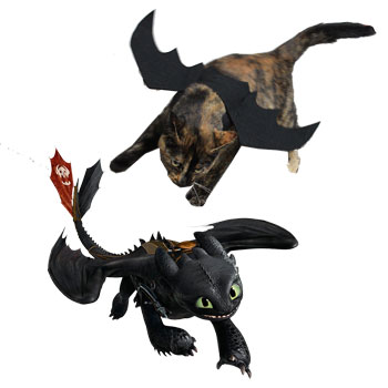 Jo-Jo as Toothless